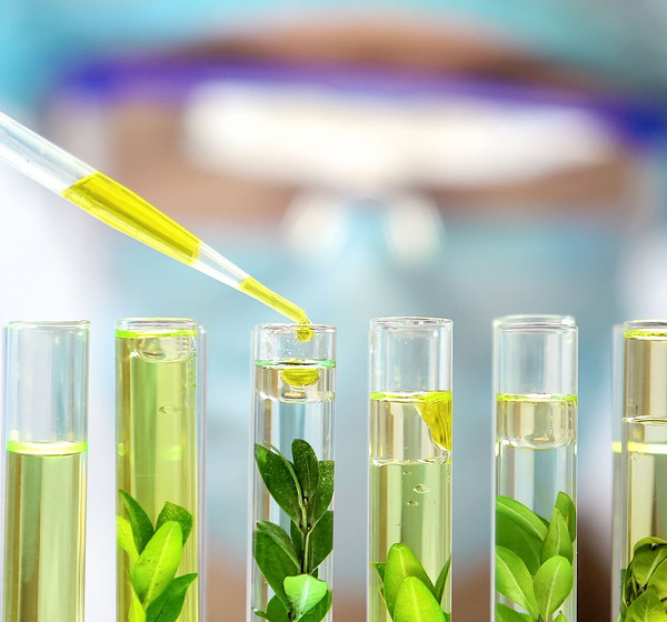 Mushroom Chitosan: Transforming Medical Devices